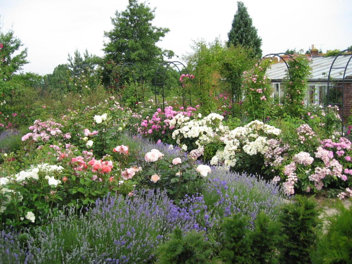 Mount Ephraim B&B Hernhill Zewnętrze zdjęcie